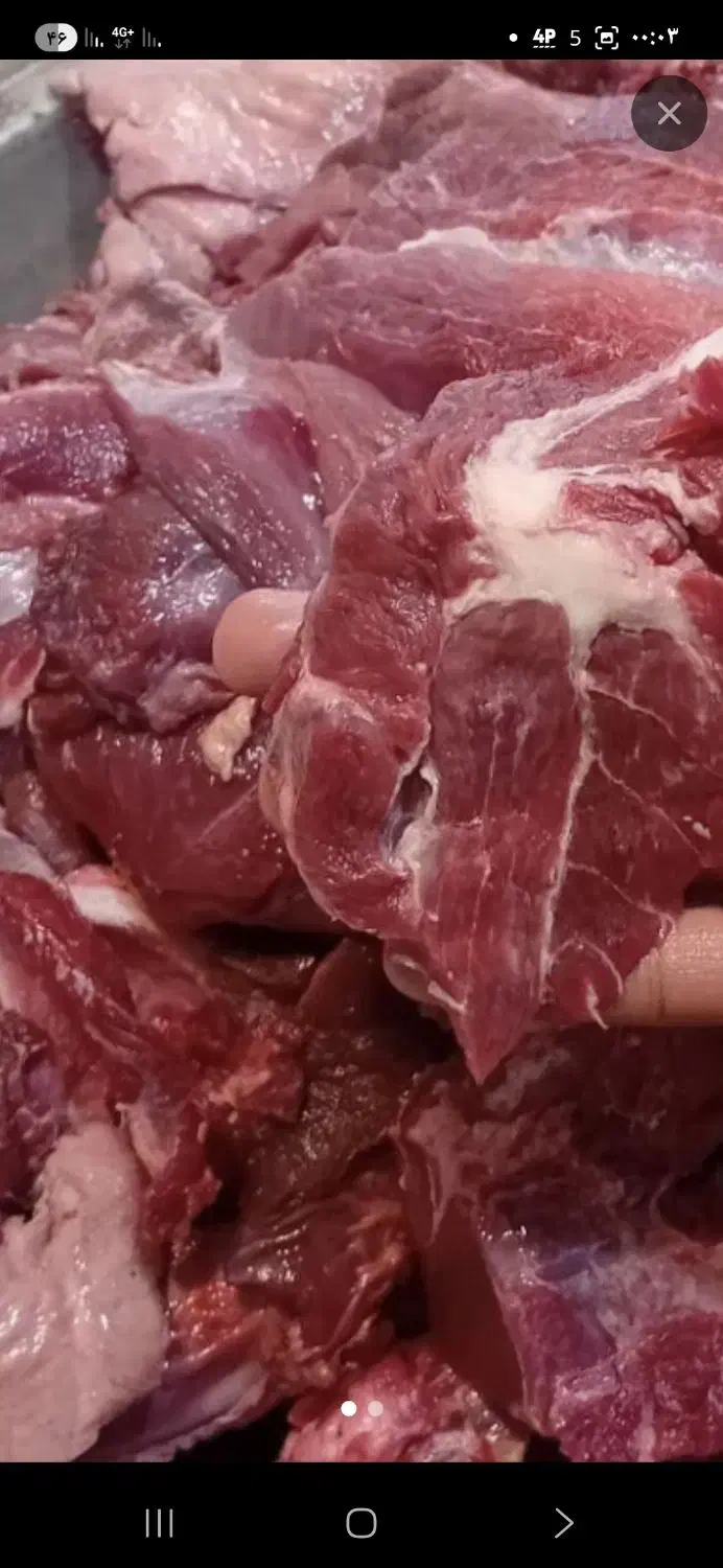 چرخ کرده گوشت گوساله وگوسفندی|خوردنی و آشامیدنی|تهران, شهرک شریفی|دیوار