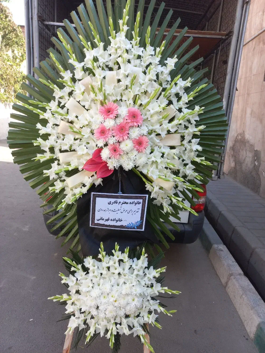 ژینوس تک الی تاج نه تیکه اروپایی گلایولی فرفورژه|خدمات پذیرایی، مراسم|تهران, آهنگ|دیوار