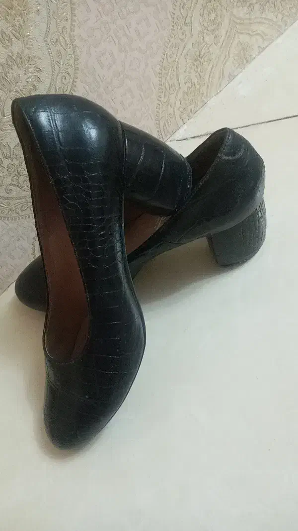 کفش زنانه|کیف، کفش، کمربند|تربت‌حیدریه, شهرک ولیعصر|دیوار