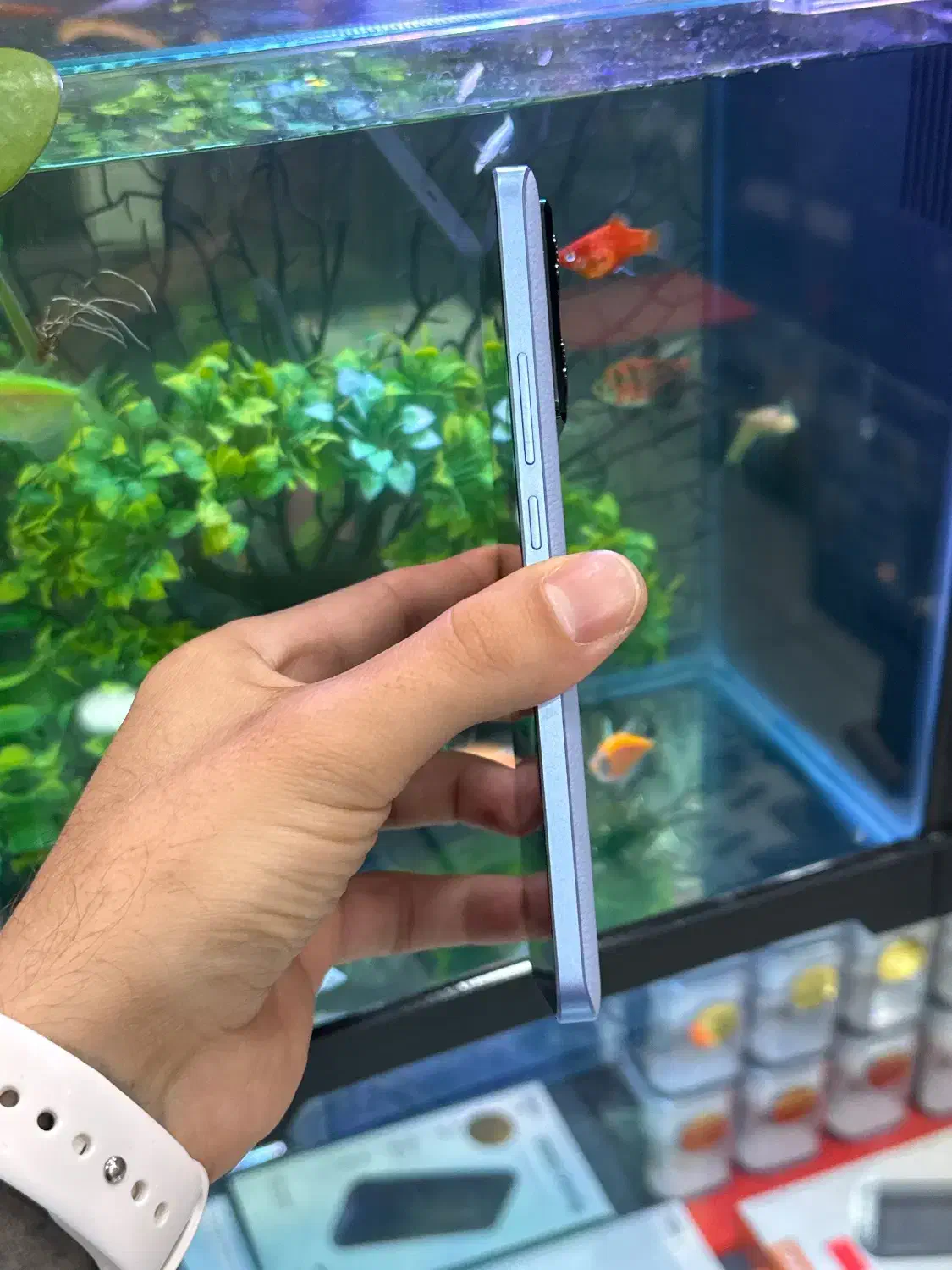 13T|موبایل|شیراز, زند|دیوار