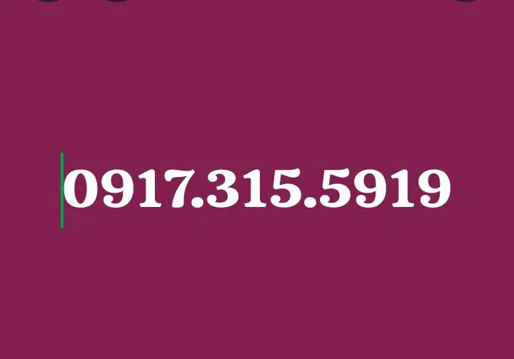 09173155919|سیم‌کارت|شیراز, زند|دیوار