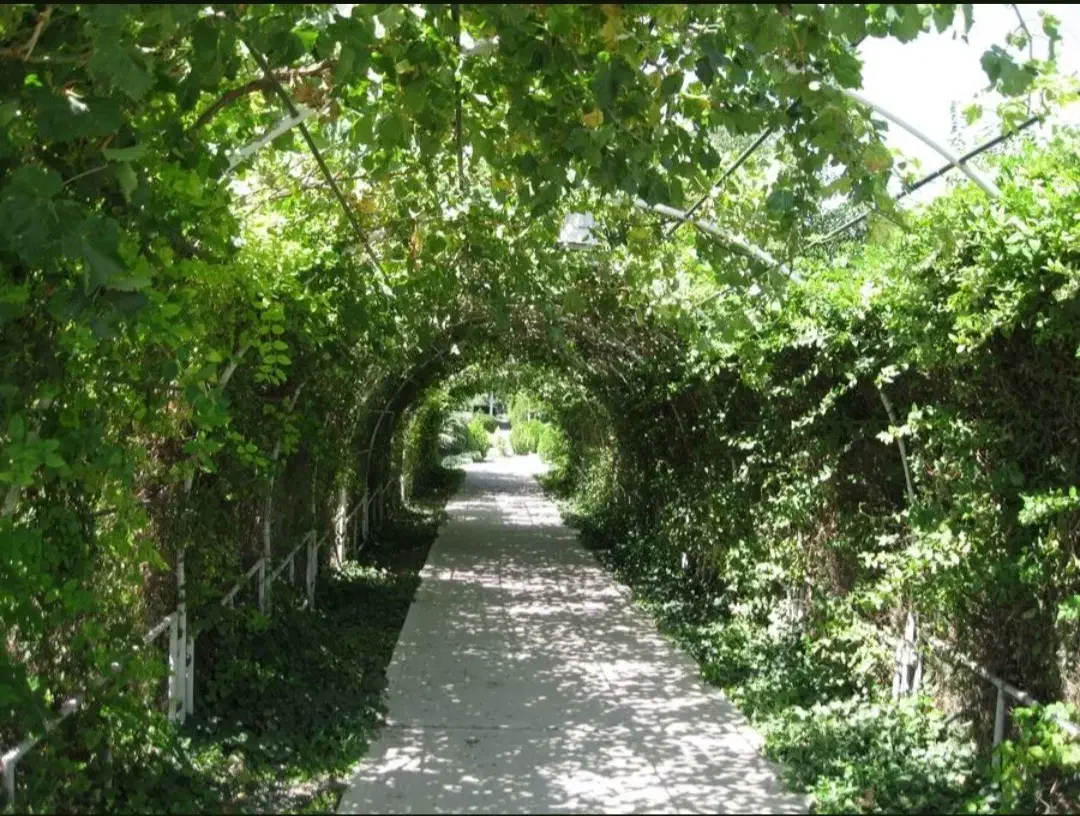 استخدام برای نگهبانی و باغبانی درباغ کاردائم|استخدام سرایداری و نظافت|کرمانشاه, |دیوار