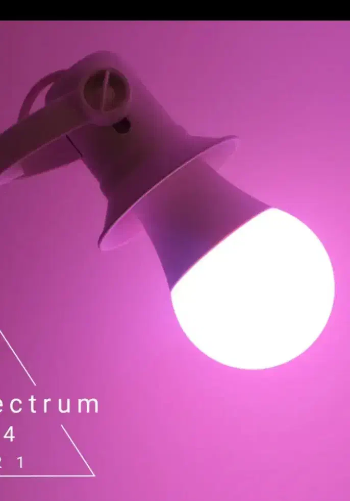 لامپ رشد گیاه ۱۵ وات مانی نور|گل و گیاه طبیعی|قلعه قاضی, |دیوار