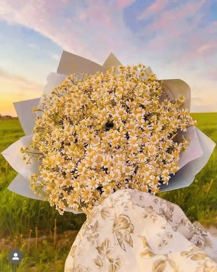 دنبال کار هستم|فعالیت داوطلبانه|پارس‌آباد, |دیوار