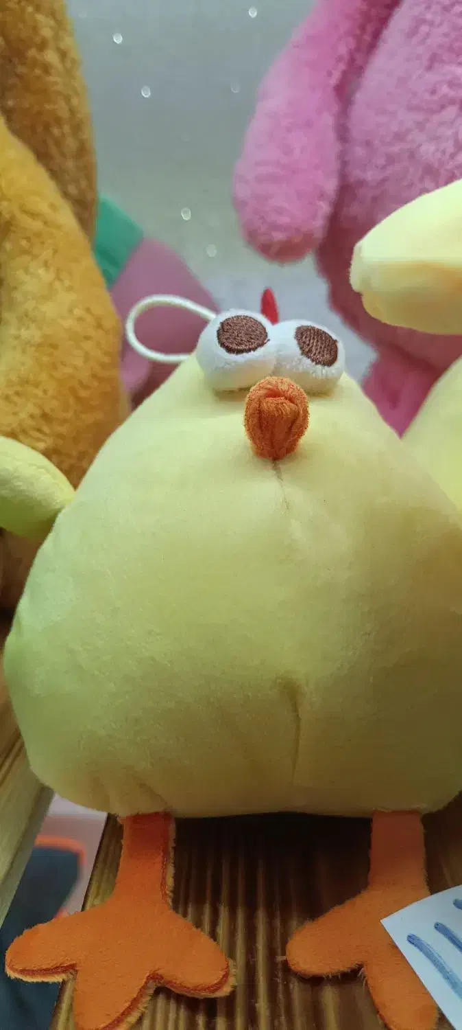 جوجه جوجه طلایی تو دوست خوب مایی|اسباب‌بازی بچه|لاهیجان, طالقانی|دیوار