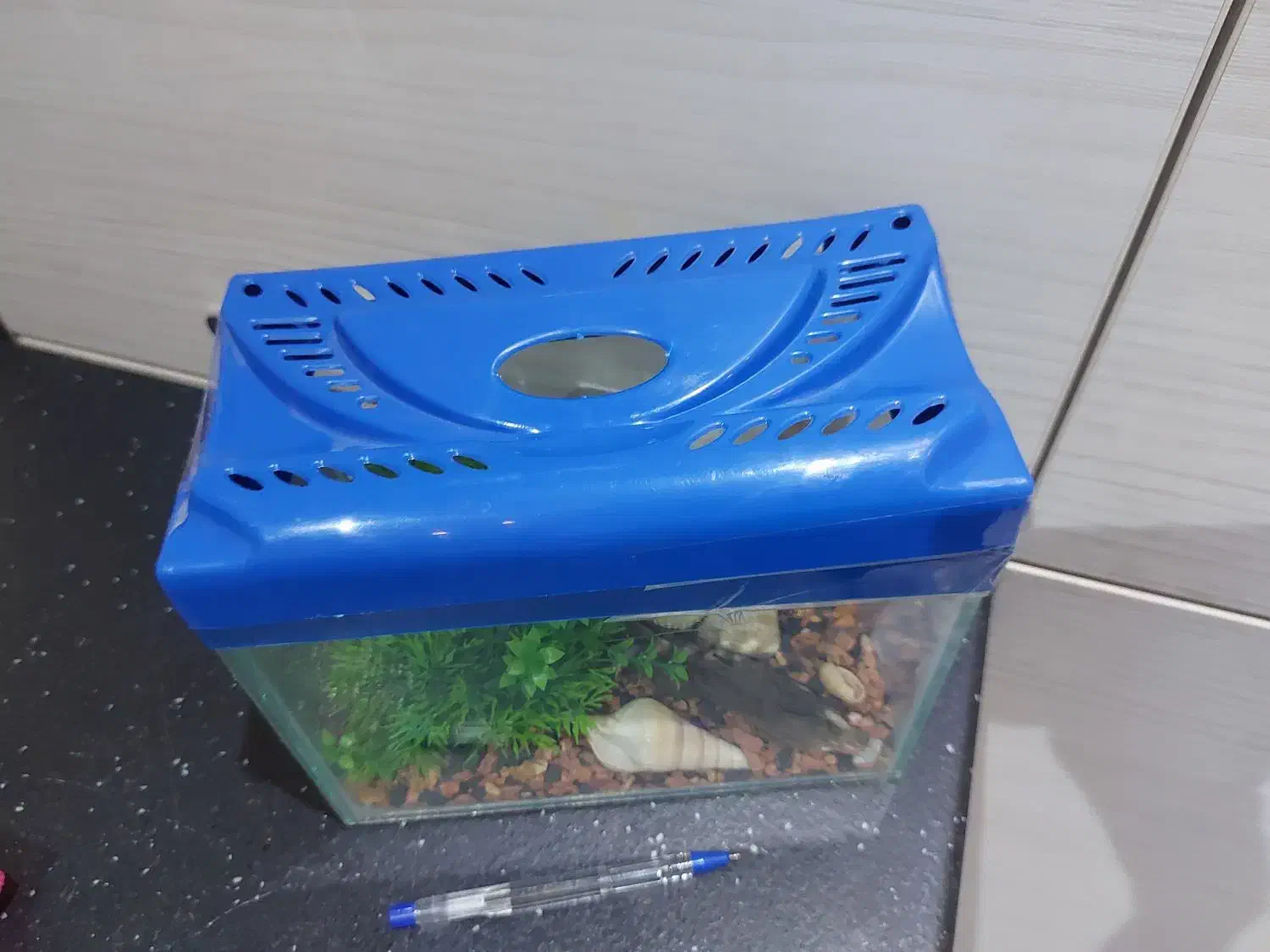 تعدادی لوازم منزل|ظروف سرو و پذیرایی|قم, شهرک قدس|دیوار