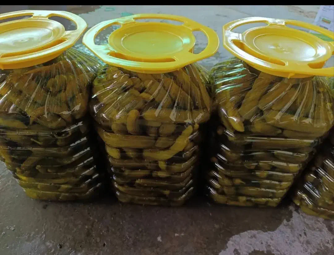 فروش خیار شور حلب، فله، بسته بندی|خوردنی و آشامیدنی|شیراز, کلاهدوز|دیوار