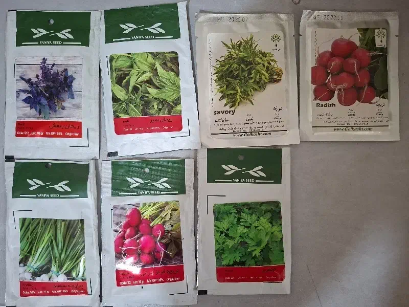 بذر سبزی|گل و گیاه طبیعی|شیراز, شهرک مهدیه|دیوار