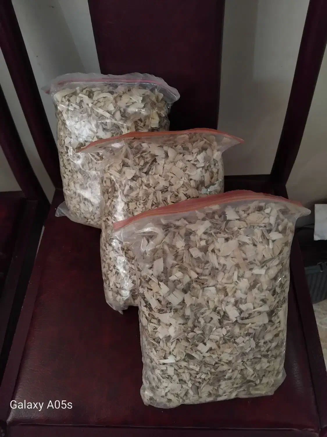 پوشال مخصوص پرنده با اشانتیون|لوازم جانبی حیوانات|سبزوار, قلعهنو دهزار|دیوار