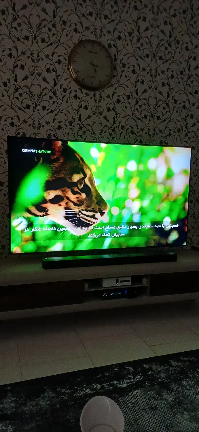 تلوزیون سامسونگ|تلویزیون و پروژکتور|پرند, فاز ۵|دیوار