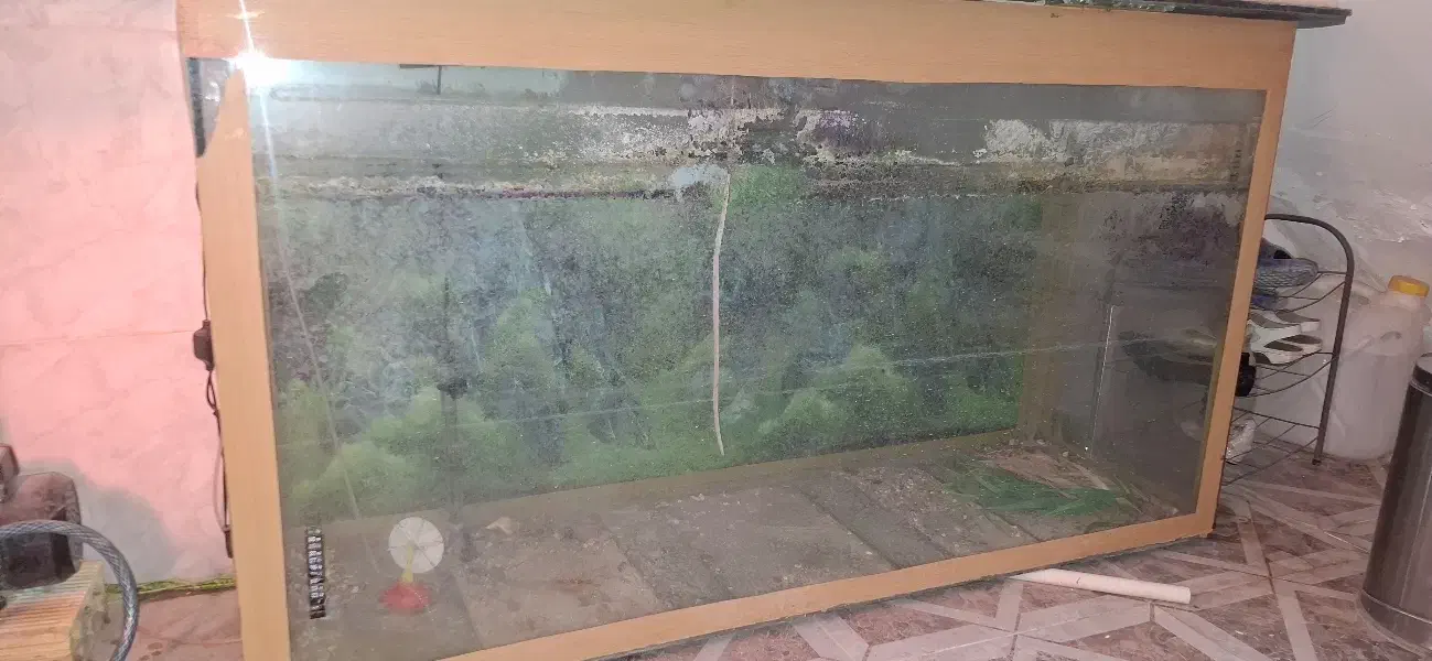 آکواریوم بزرگ|ماهی|لنجان, |دیوار