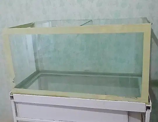 آکواریوم سالم و بزرگ|ماهی|بجنورد, |دیوار