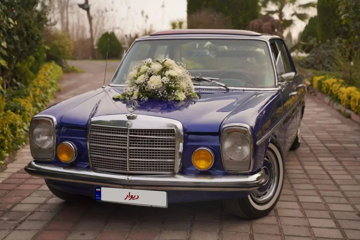 اجاره ماشین عروس بنز|خودرو اجارهای|رشت, گلسار|دیوار