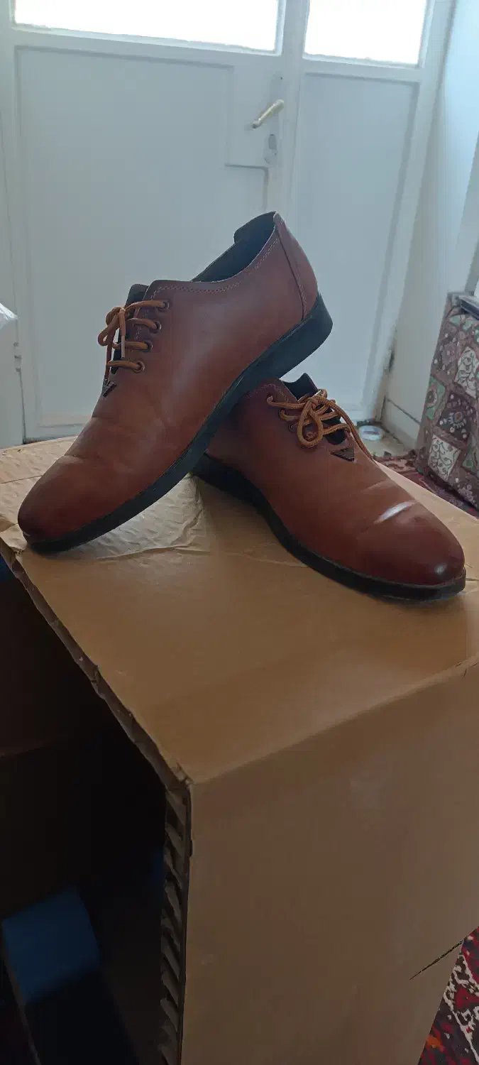 کفش مردانه چرمی|کیف، کفش، کمربند|قم, چهل درخت|دیوار