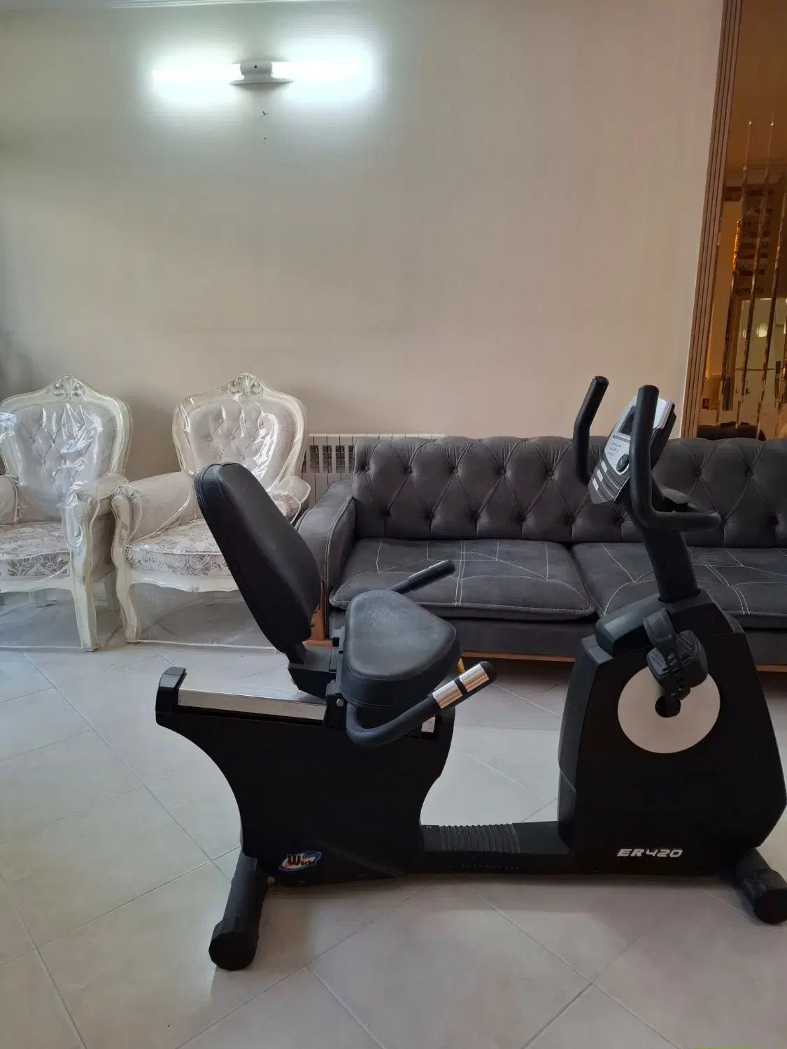 دوچرخه ثابت ER420|تجهیزات ورزشی|اصفهان, شاهزید|دیوار