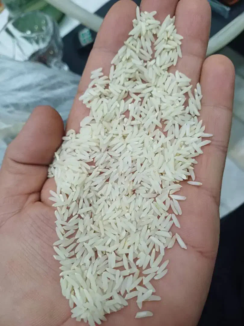 واردات عمده برنج از مرز باشماق|خوردنی و آشامیدنی|تهران, اتحاد|دیوار