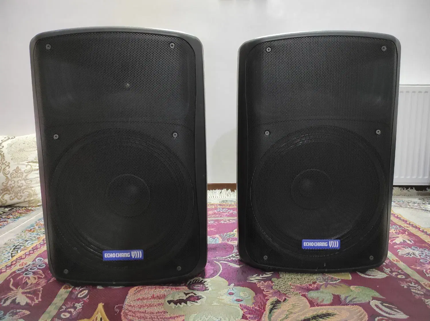 باند پسیو برند اکو چنگ|صوتی و تصویری|حبیب آباد, |دیوار