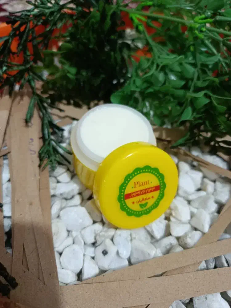 عمده ۱۳۰ تکی ۲۰۰|مواد شوینده و دستمال کاغذی|یاسوج, |دیوار