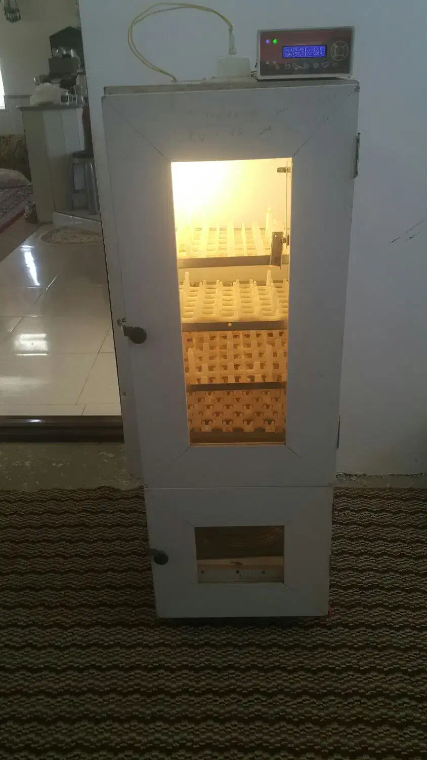 دستگاه جوجه کشی|لوازم جانبی حیوانات|آشخانه, |دیوار