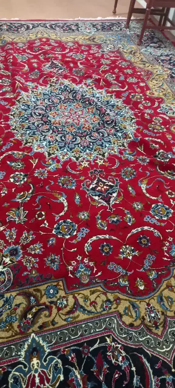 فرش سالم|فرش|نوشهر, |دیوار