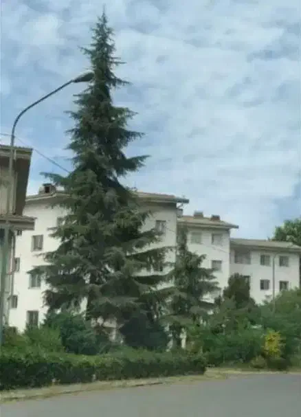 اپارتمان ۶۰متر|فروش آپارتمان|رشت, لاکان شهر|دیوار