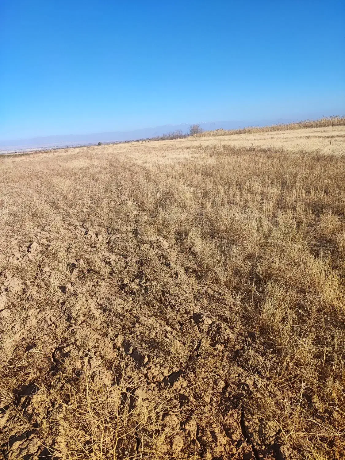 زمین کشاورزی بسیار مرغووب|فروش زمین و ملک کلنگی|پلدشت, |دیوار