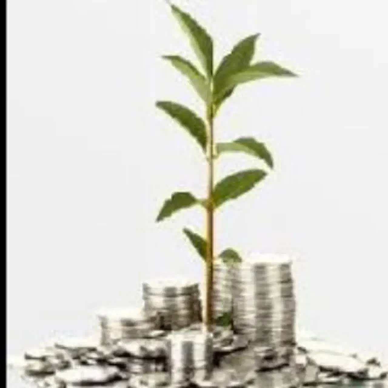 قرعه کشی|کارت هدیه و تخفیف|نیشابور, ناسیونال|دیوار