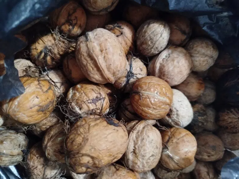 گردو|خوردنی و آشامیدنی|باسمنج, |دیوار