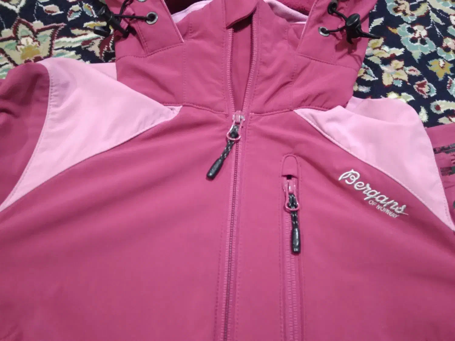 ورزشی لطفا ورق بزنید|کوهنوردی و کمپینگ|اراک, |دیوار