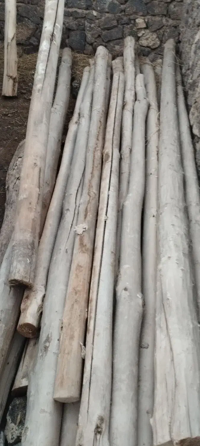 چوب های سقف|عمدهفروشی|پلدشت, |دیوار