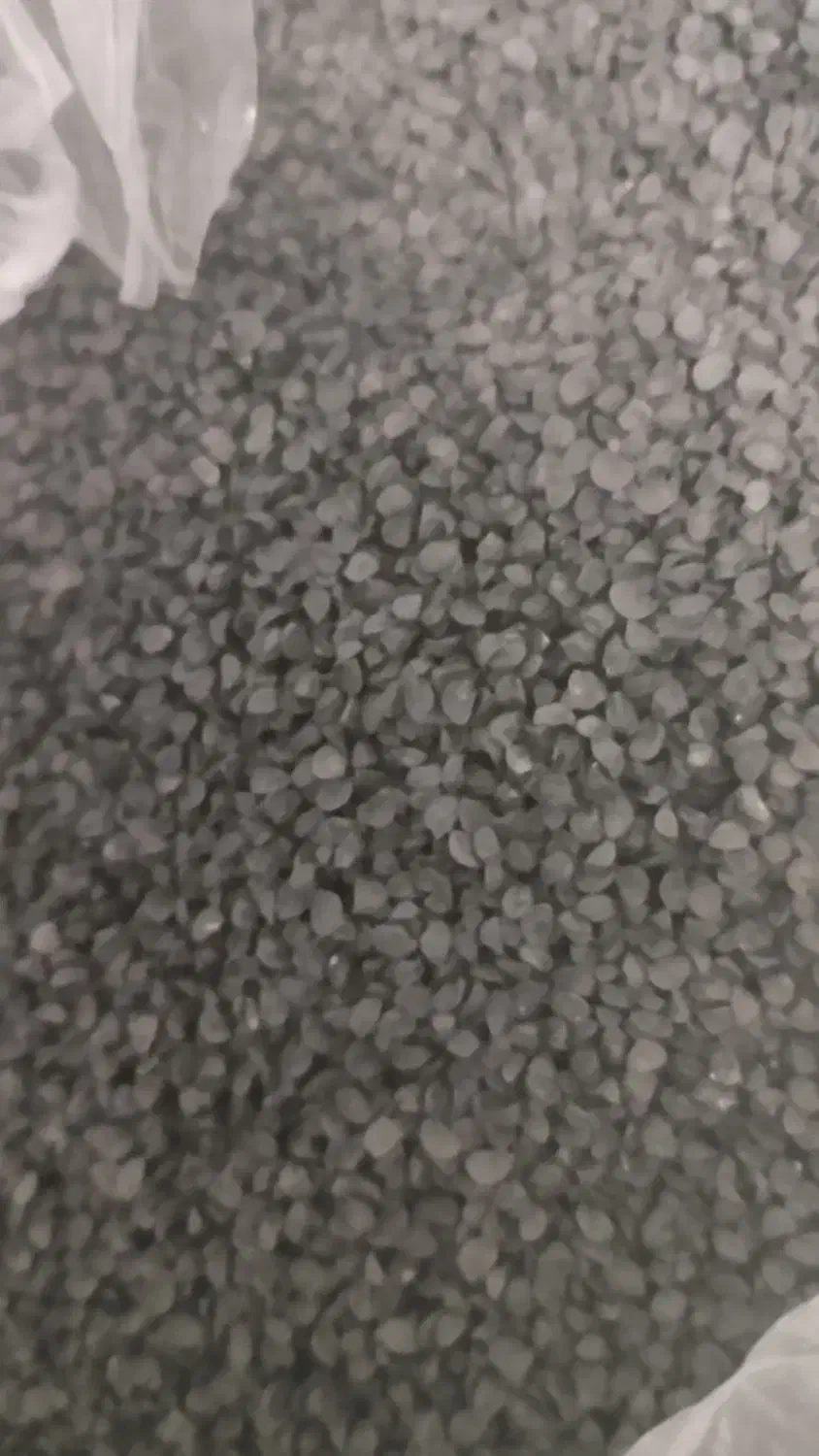 بذر (تخم)پیاز|گل و گیاه طبیعی|برازجان, |دیوار