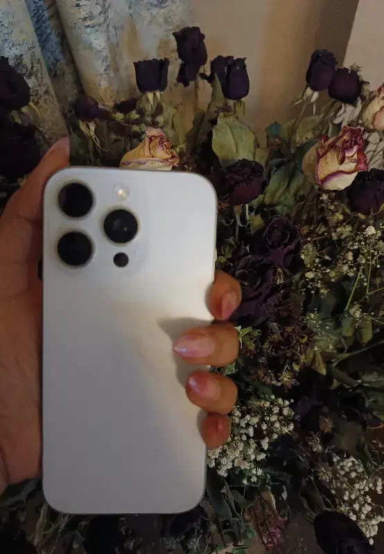 ایفون ۱۶ پرو|موبایل|مشهد, حسین‌آباد|دیوار