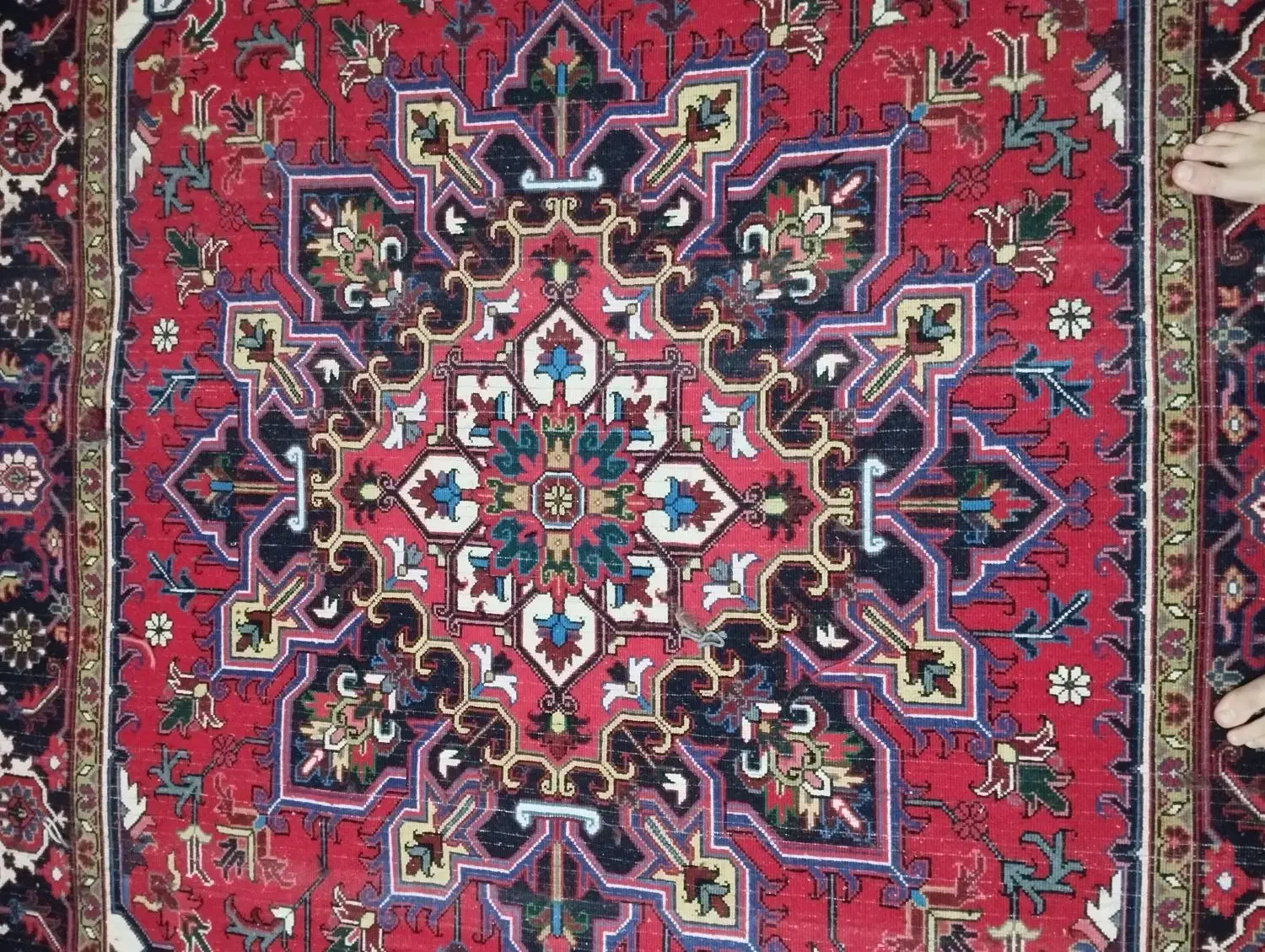 تاجری عبدالعظیم|فرش|تبریز, |دیوار