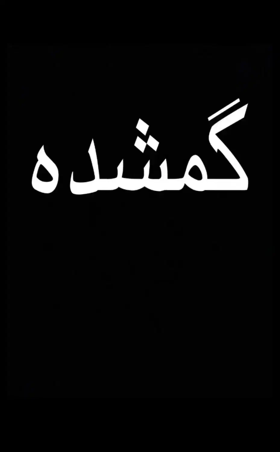 یک کیف دوشی زنانه گمشده|اشیا|شهریار, شهریار|دیوار