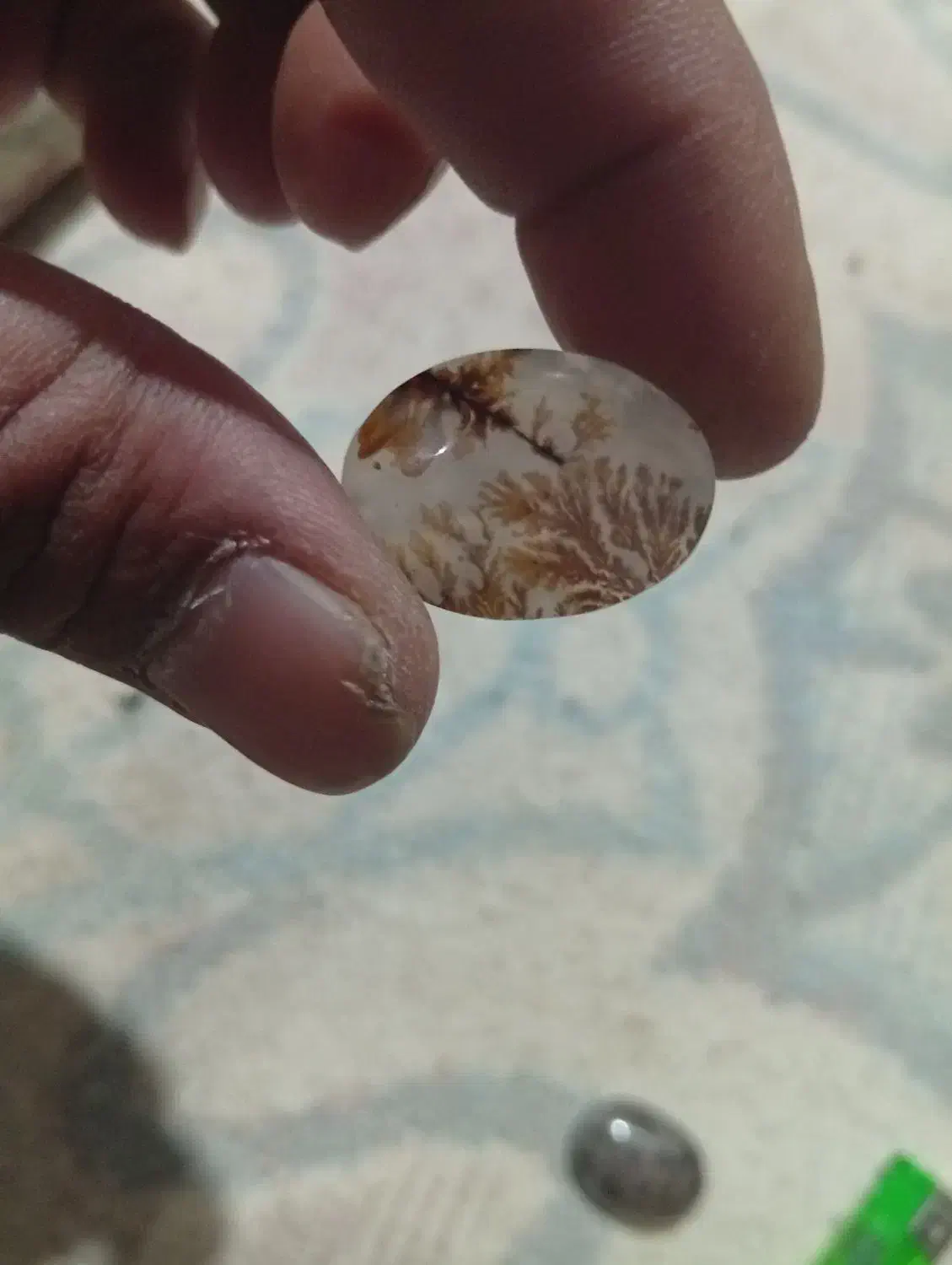 شجر|جواهرات|کرمان, |دیوار