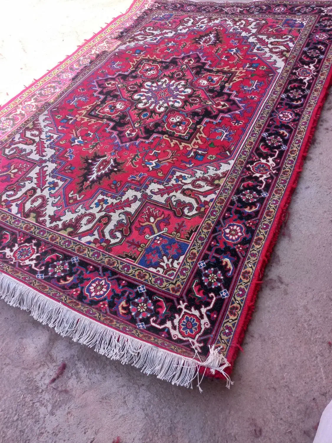 فرش ۶ متری هریس تاجری|فرش|باسمنج, |دیوار