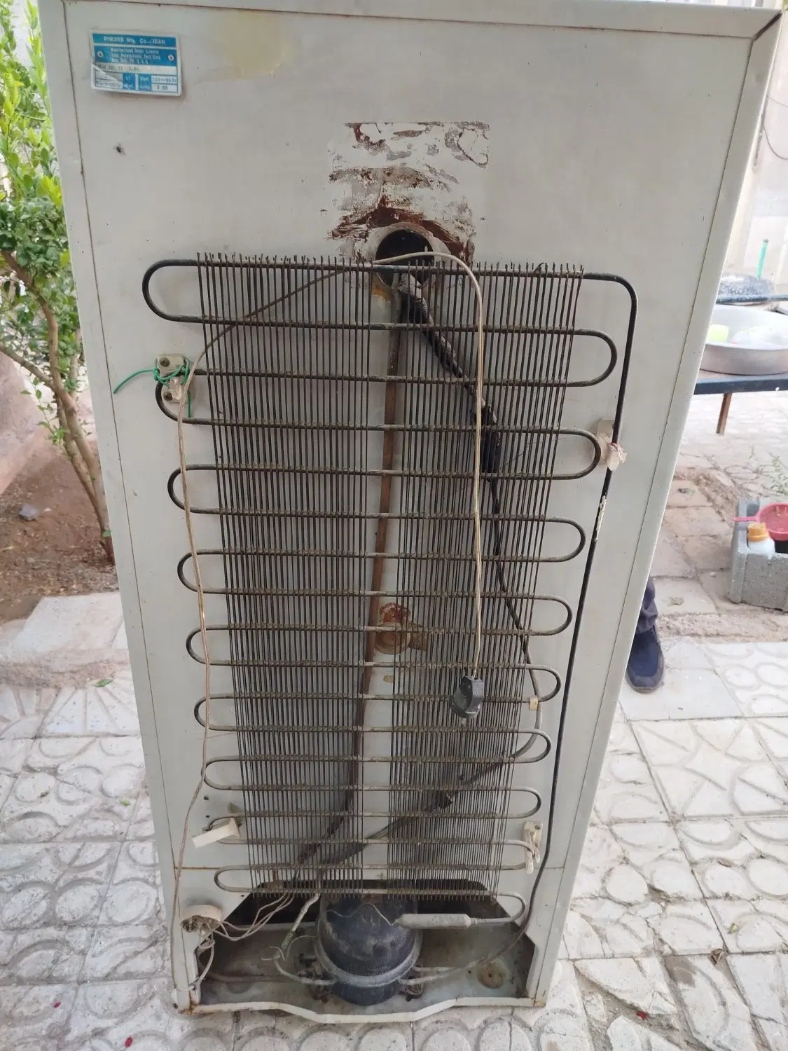 یخچال|یخچال و فریزر|شیراز, داریون|دیوار