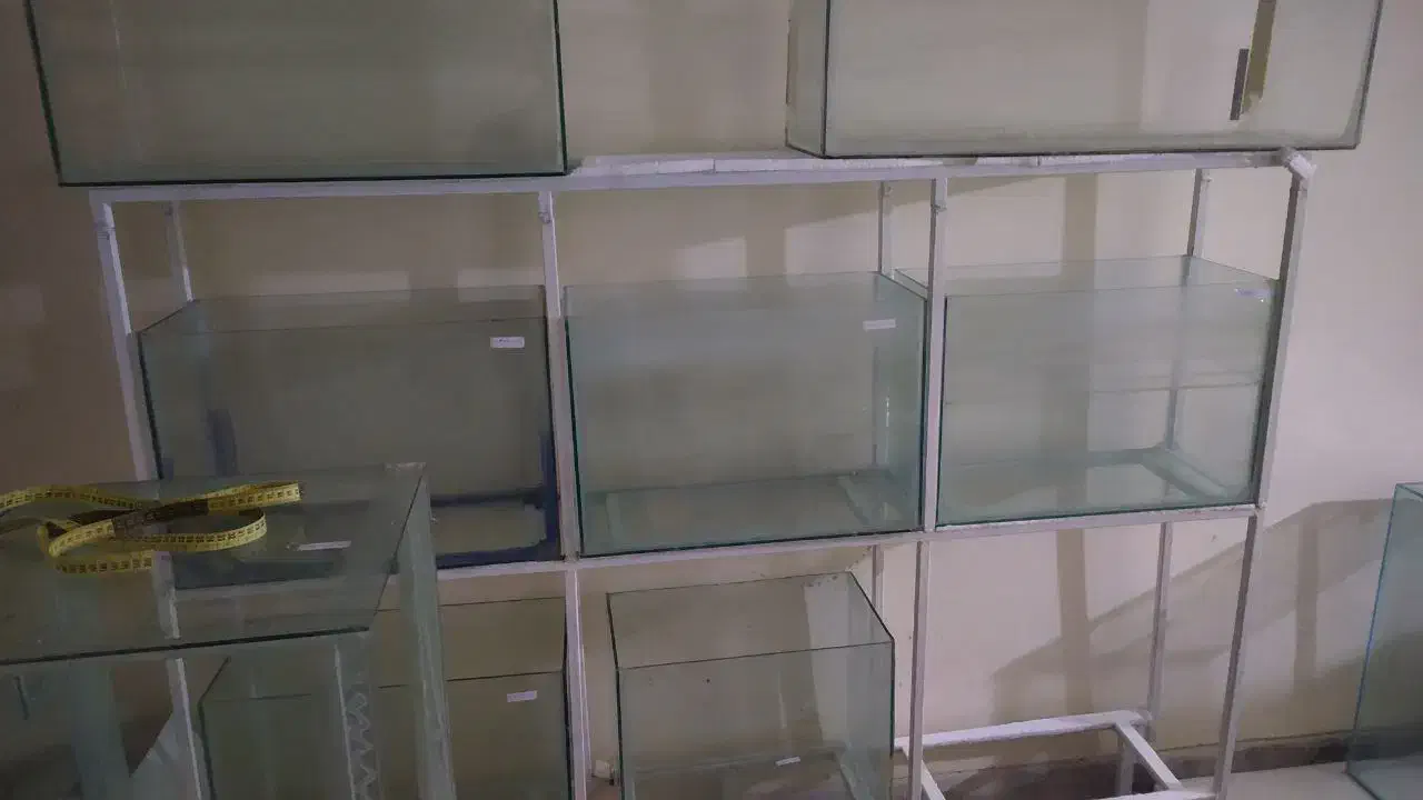 فروش انواع سایز آکواریوم بعلت جمع آوری سالن|ماهی|همدان, |دیوار