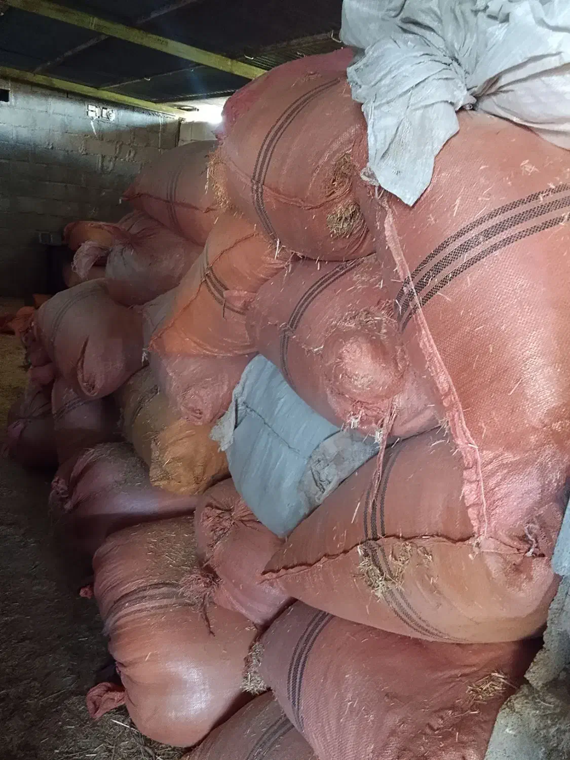 کاه میش|حیوانات مزرعه|دهدشت, |دیوار