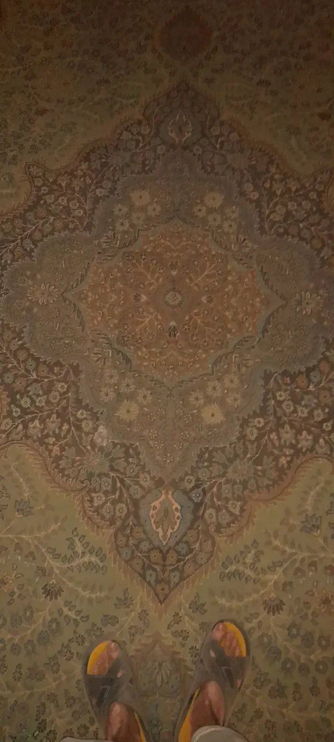۲ تخته قالی ۴×۳ رنگ زمینه سبز کار کرده|فرش|رفسنجان, |دیوار