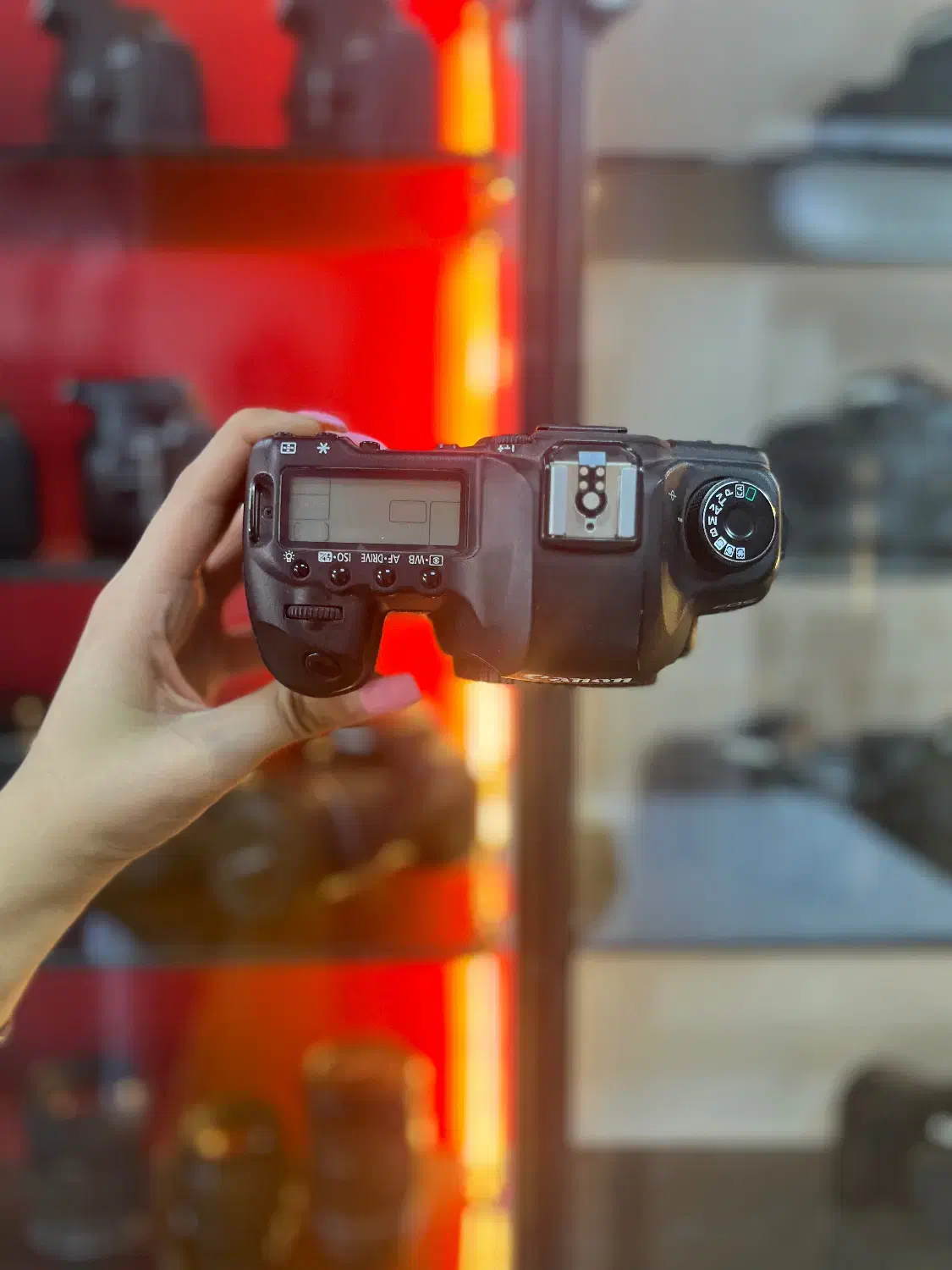 دوربین کانن Canon 5d mark ii همراه با لوازم جانبی|دوربین عکاسی و فیلم‌برداری|کرج, گلشهر|دیوار