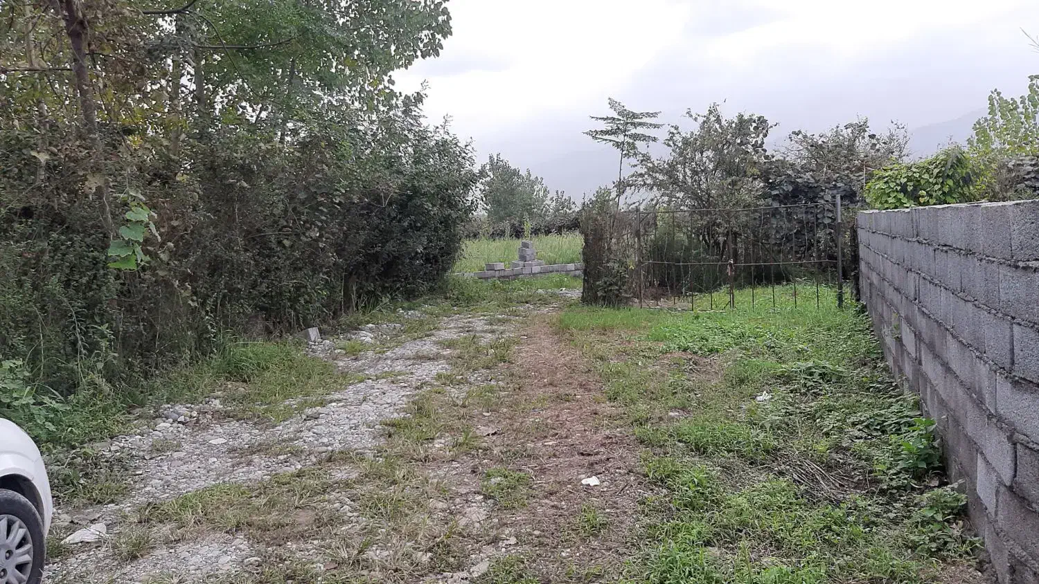 فروش زمین خوش قواره رودپشت|فروش زمین و ملک کلنگی|نشتارود, |دیوار