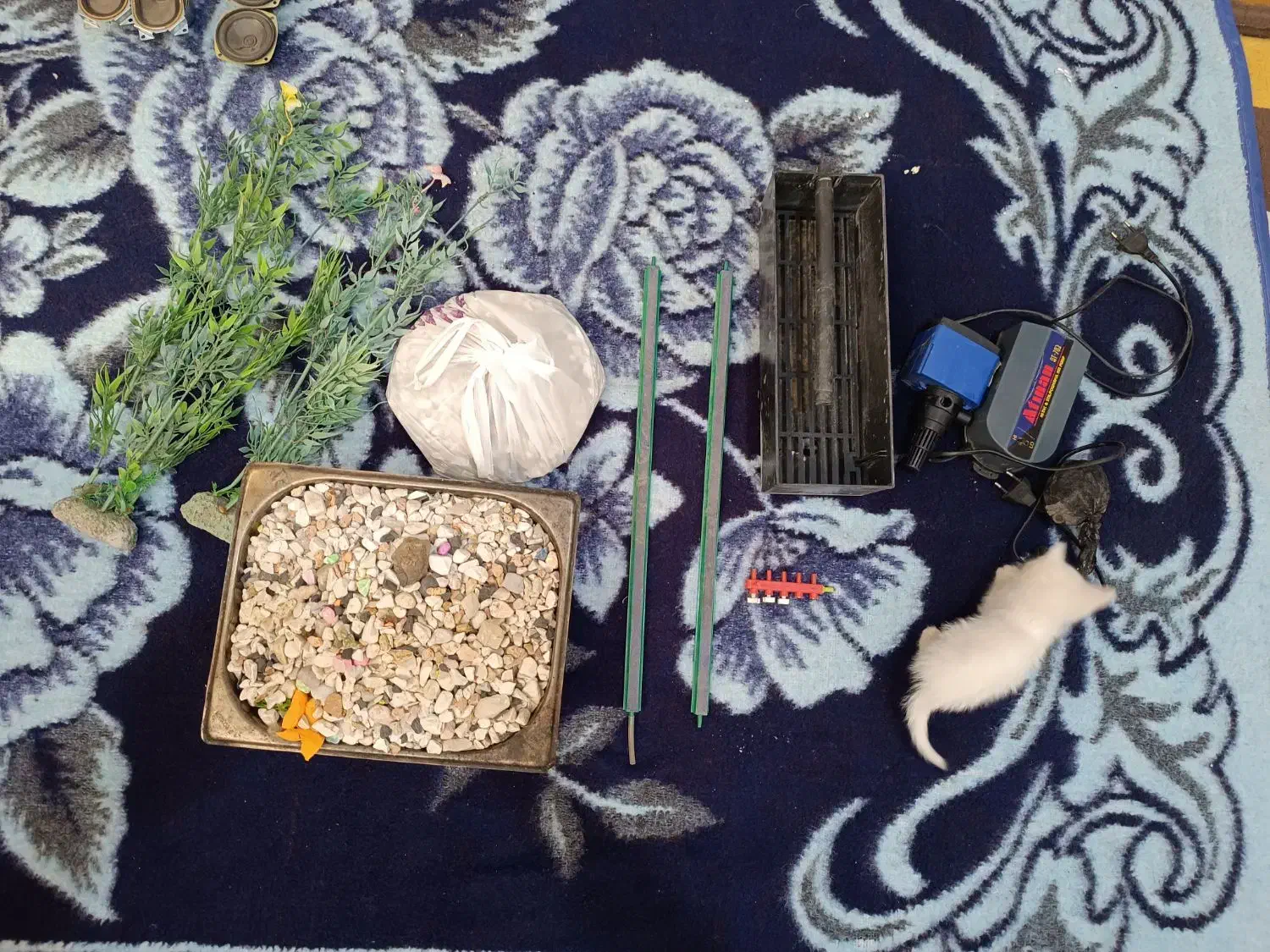 اکواریوم ابعاد 120|ماهی|اهر, |دیوار