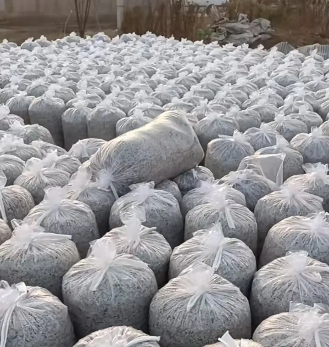 تفاله چغندر|حیوانات مزرعه|فرخ‌شهر, |دیوار