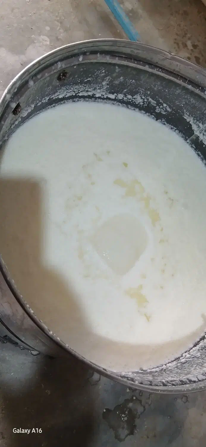 دوغ محلی|خوردنی و آشامیدنی|اندیکا, |دیوار