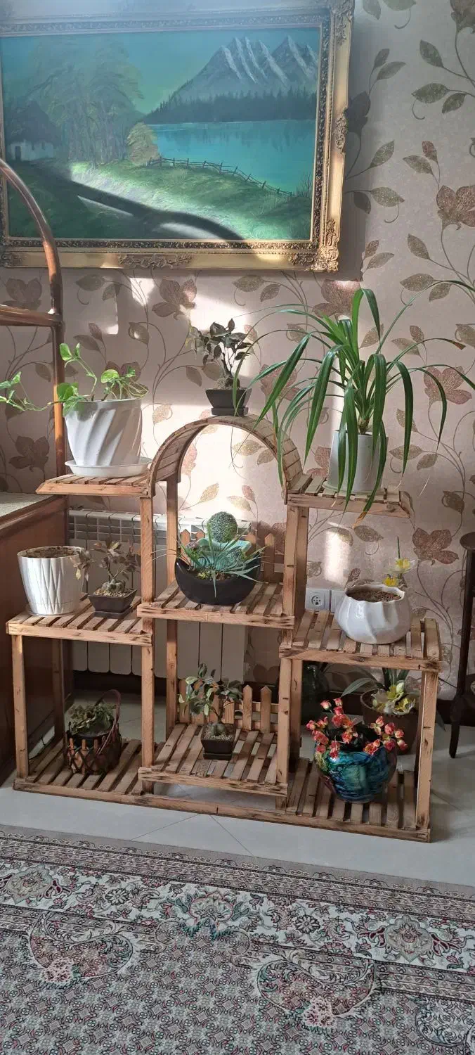 استند چوبی|کتابخانه، شلف، قفسه‌های دیواری|سبزوار, کوی بهار|دیوار