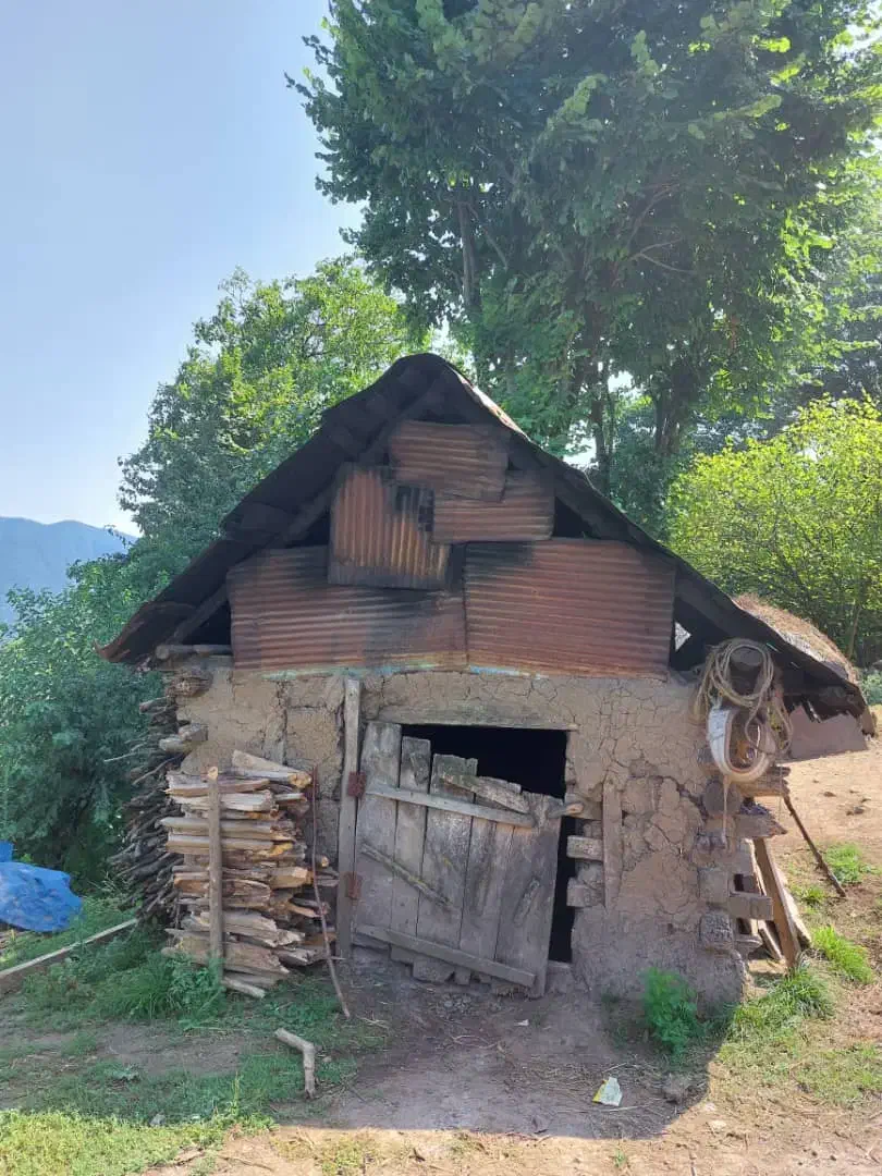 خرید ضایعات درب منزل شما پرداخت نقد|حراج|برازجان, |دیوار