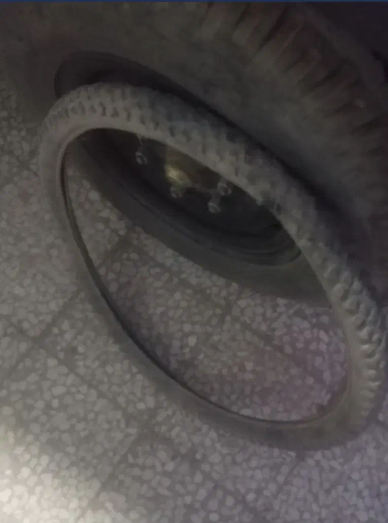 تنه و لاستیک|دوچرخه، اسکیت، اسکوتر|زابل, |دیوار