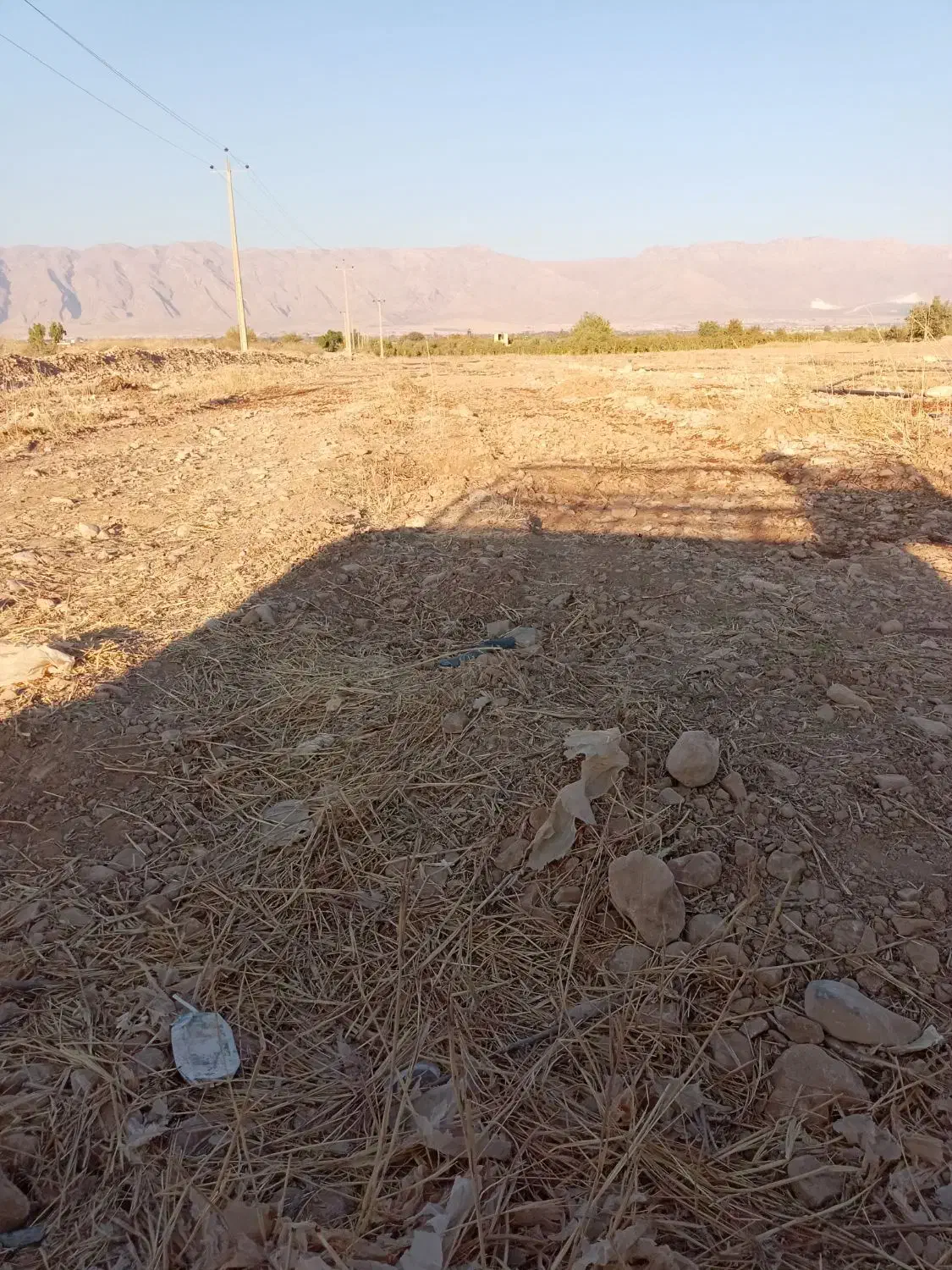 زمین|اجارهٔ دفتر صنعتی، کشاورزی، تجاری|کوار, |دیوار