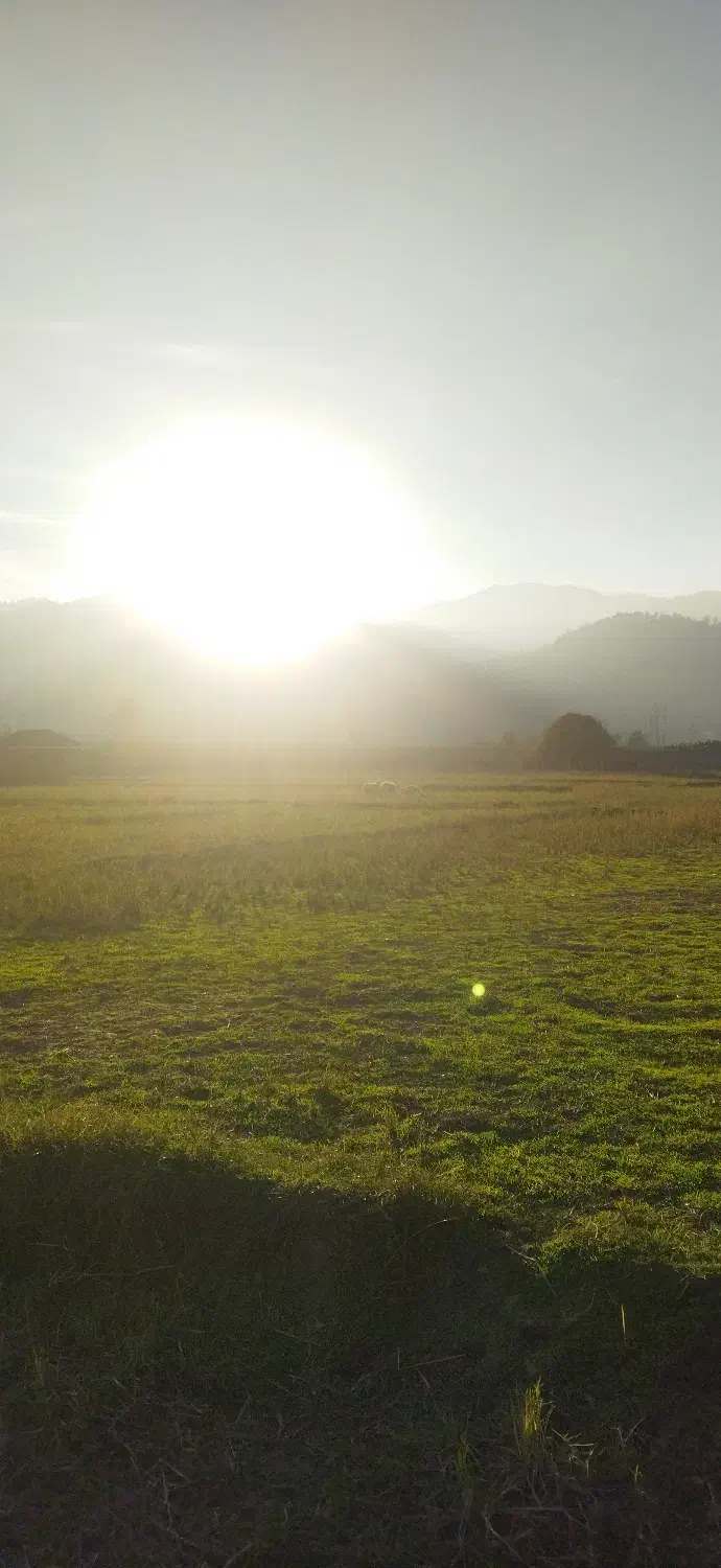 فروش زمین ۲۰۰۰ متری در روستای پلاسی نزدیکی آستارا|فروش زمین و ملک کلنگی|چوبر, |دیوار